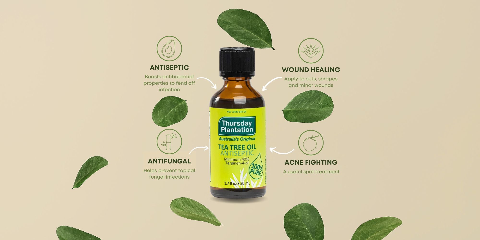 Tea Tree Oil: An Essential for Your Holistic Medicine Chest