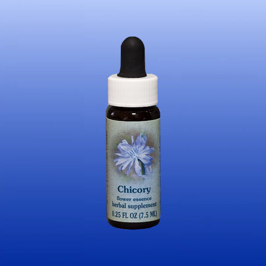 Chicory Flower Essence 0.25 Oz-FES Flower Essence-Flower Essence Services-Castle Remedies