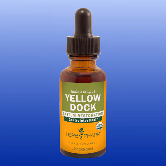Yellow Dock 1 Oz-Herbal Tincture-Herb Pharm-Castle Remedies