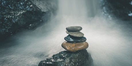 Natural Allies for Finding Balance in Stressful Times