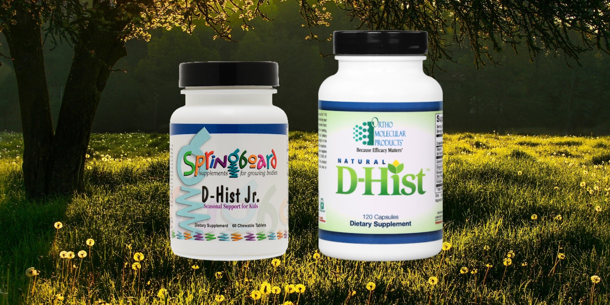 Consider Natural D-Hist to Overcome Seasonal Allergies