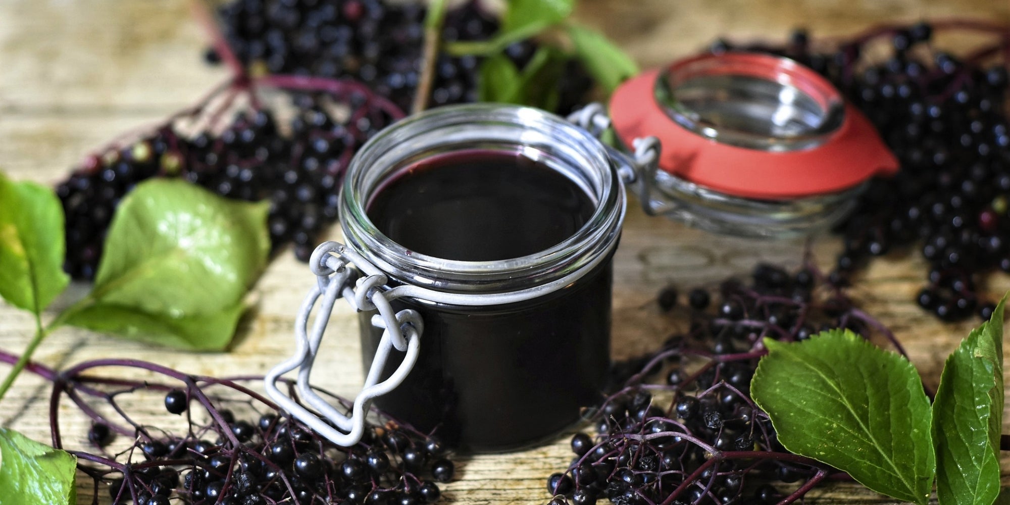 The Healing Power of Elderberry: Recipes and Health Benefits