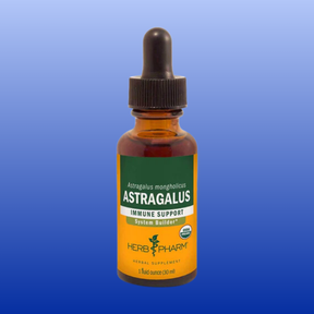 Herb Pharm Astragalus 1 oz tincture for immune support made from organic Astragalus mongholicus root extract