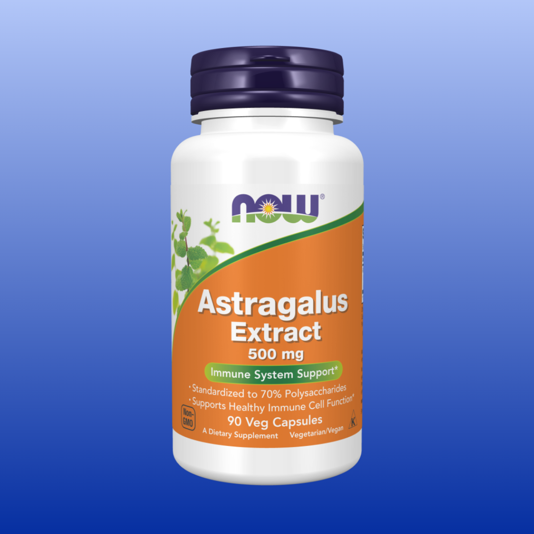 Astragalus Extract 500 mg 90 Capsules