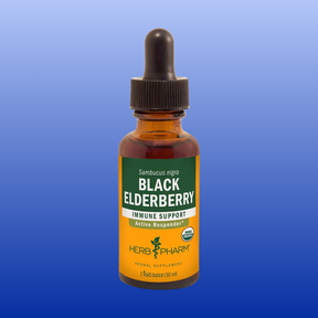 Herb Pharm Black Elderberry liquid extract for immune support in a 1-ounce amber bottle with dropper
