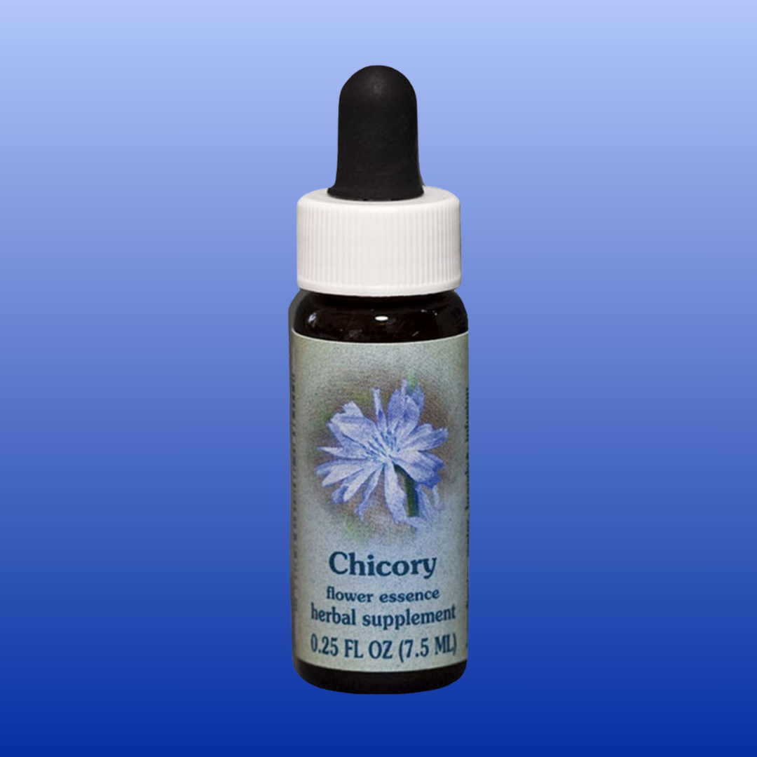 Chicory Flower Essence 0.25 Oz