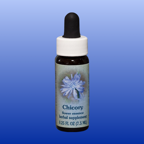 Chicory Flower Essence 0.25 oz herbal supplement bottle with blue flower label and black dropper cap on blue background