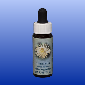 Clematis Flower Essence 0.25 oz herbal supplement bottle with white flower label and dropper cap against blue background