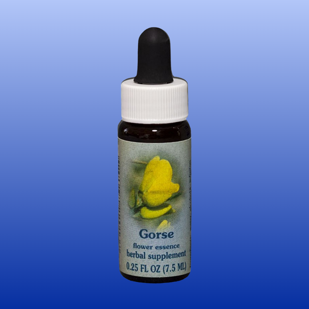 Gorse Flower Essence 0.25 Oz