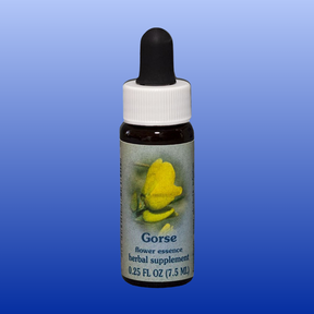 Bottle of Gorse Flower Essence herbal supplement with a yellow flower on the label and dropper top