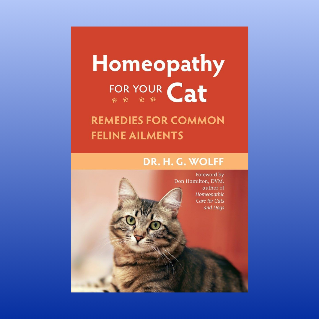 Homeopathy for Your Cat: Remedies for Common Feline Ailments