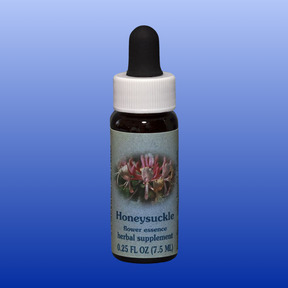 Bottle of Honeysuckle Flower Essence herbal supplement 0.25 oz with dropper on blue background