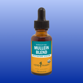 Herb Pharm Mullein Blend herbal tincture bottle for respiratory support with USDA organic label on blue background