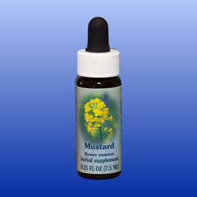Mustard Flower Essence 0.25 oz bottle with dropper, herbal supplement promoting emotional equilibrium and joy integration