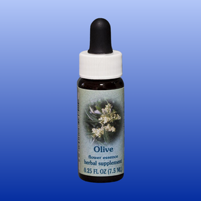 Olive Flower Essence 0.25 oz bottle with white flower image on label for Bach flower herbal supplement