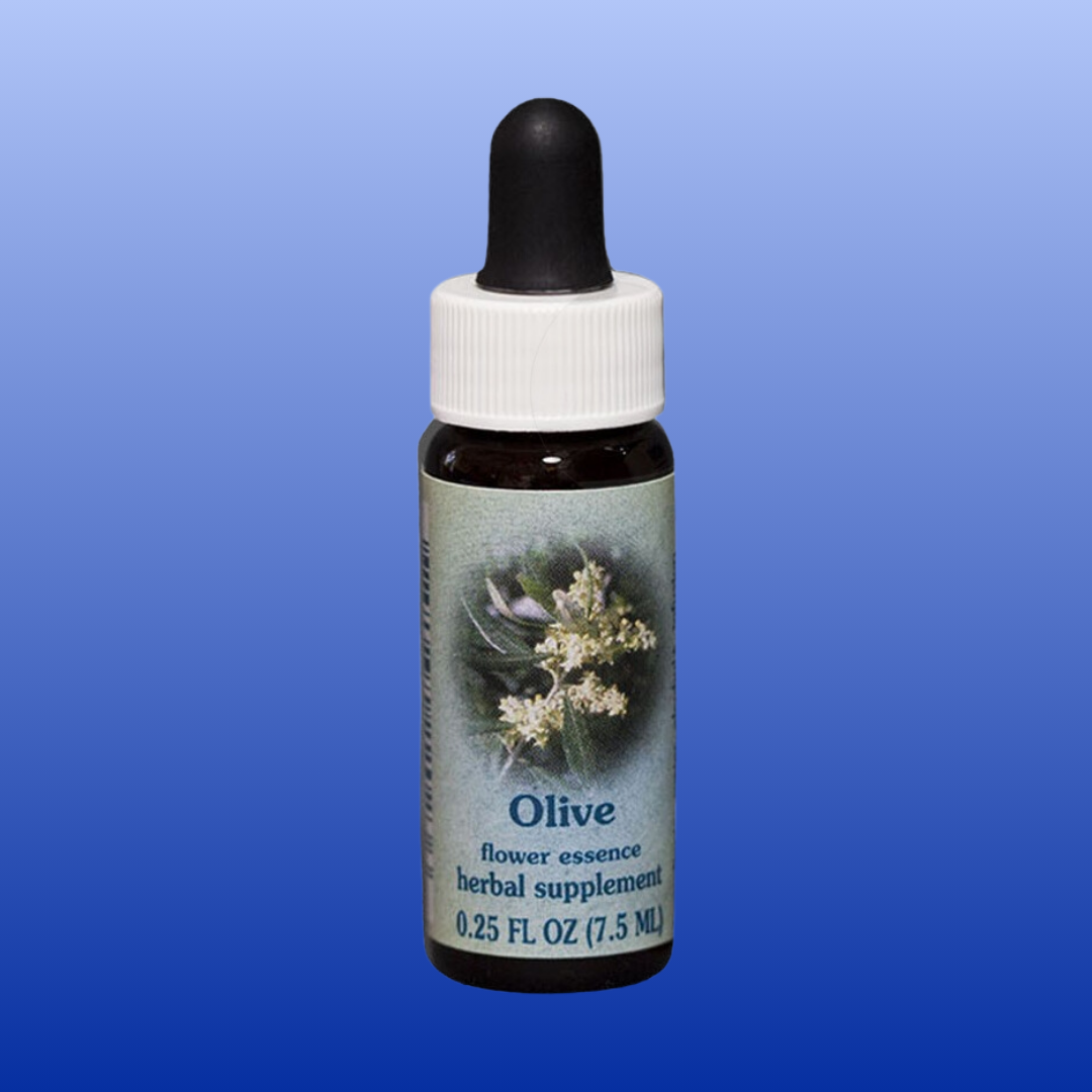 Olive Flower Essence 0.25 Oz