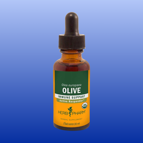 Bottle of Olive 1 oz herbal tincture for immune support made from organic Olea europaea leaf extract