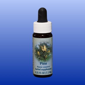 Small brown glass bottle of Pine Flower Essence herbal supplement with dropper and pine cone label