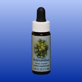Bottle of Scleranthus Flower Essence herbal supplement with dropper for decisiveness and inner resolve