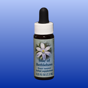 Star of Bethlehem flower essence bottle 0.25 oz herbal supplement with white flower image on label