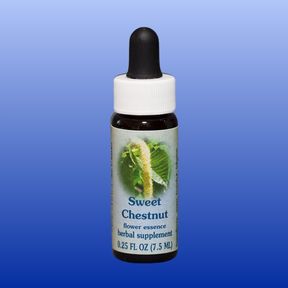 Sweet Chestnut Flower Essence 0.25 oz herbal supplement bottle with dropper cap on blue gradient background