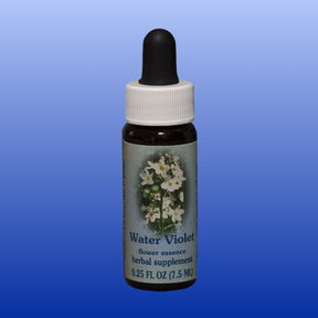 Water Violet Flower Essence 0.25 oz herbal supplement bottle with dropper and floral label on blue background