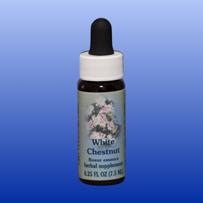 Bottle of White Chestnut flower essence herbal supplement 0.25 oz with dropper cap and floral label