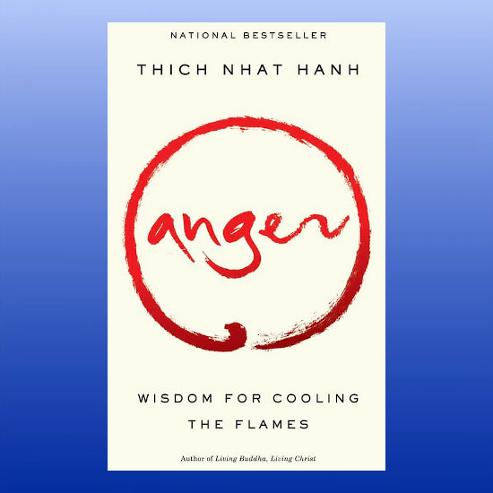Anger: Wisdom for Cooling the Flames-Book-Riverhead Books-Castle Remedies