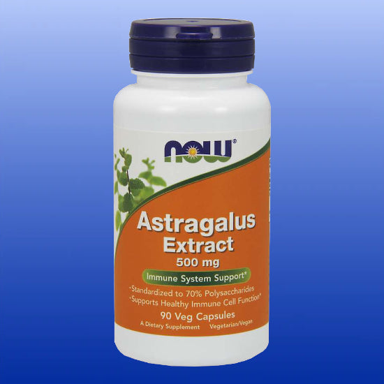 Astragalus Extract 500 mg 90 Capsules-Immune Support-Now Products-Castle Remedies