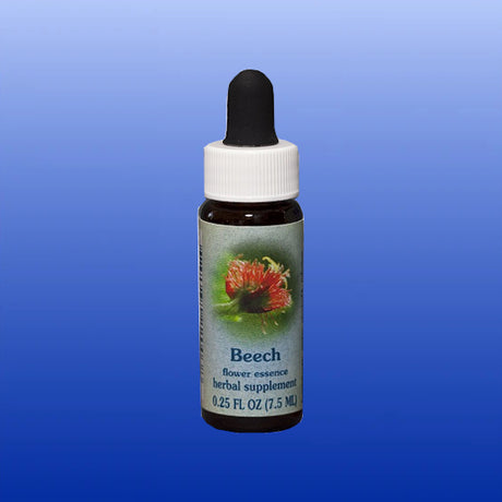 Beech Flower Essence 0.25 Oz-FES Flower Essence-Flower Essence Services-Castle Remedies