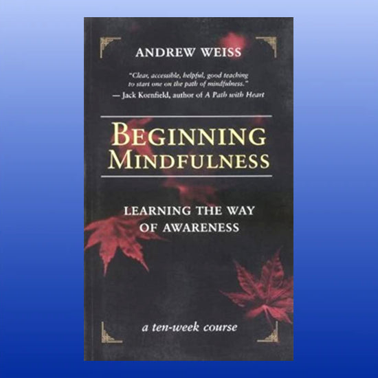 Beginning Mindfulness-Book-New Leaf-Castle Remedies