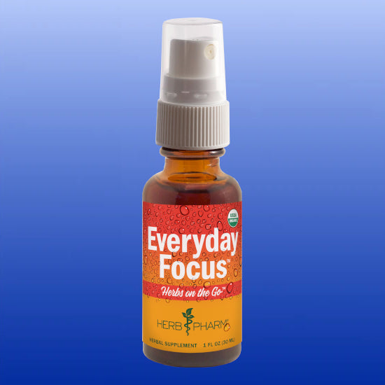 Everday Focus™ 1 Oz-Herbal Tincture-Herb Pharm-Castle Remedies