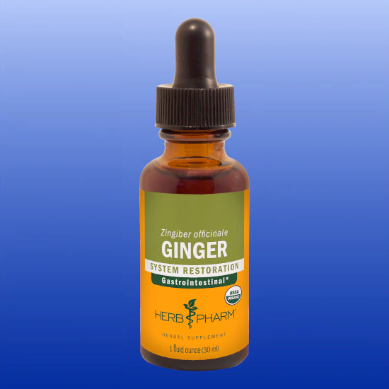 Ginger 1 Oz-Herbal Tincture-Herb Pharm-Castle Remedies