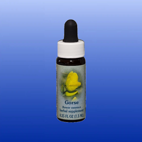 Helichrysum Precious Essential Oil 0.5 Oz - Castle Remedies