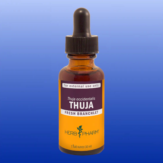 Thuja 1 Oz-Herbal Tincture-Herb Pharm-Castle Remedies
